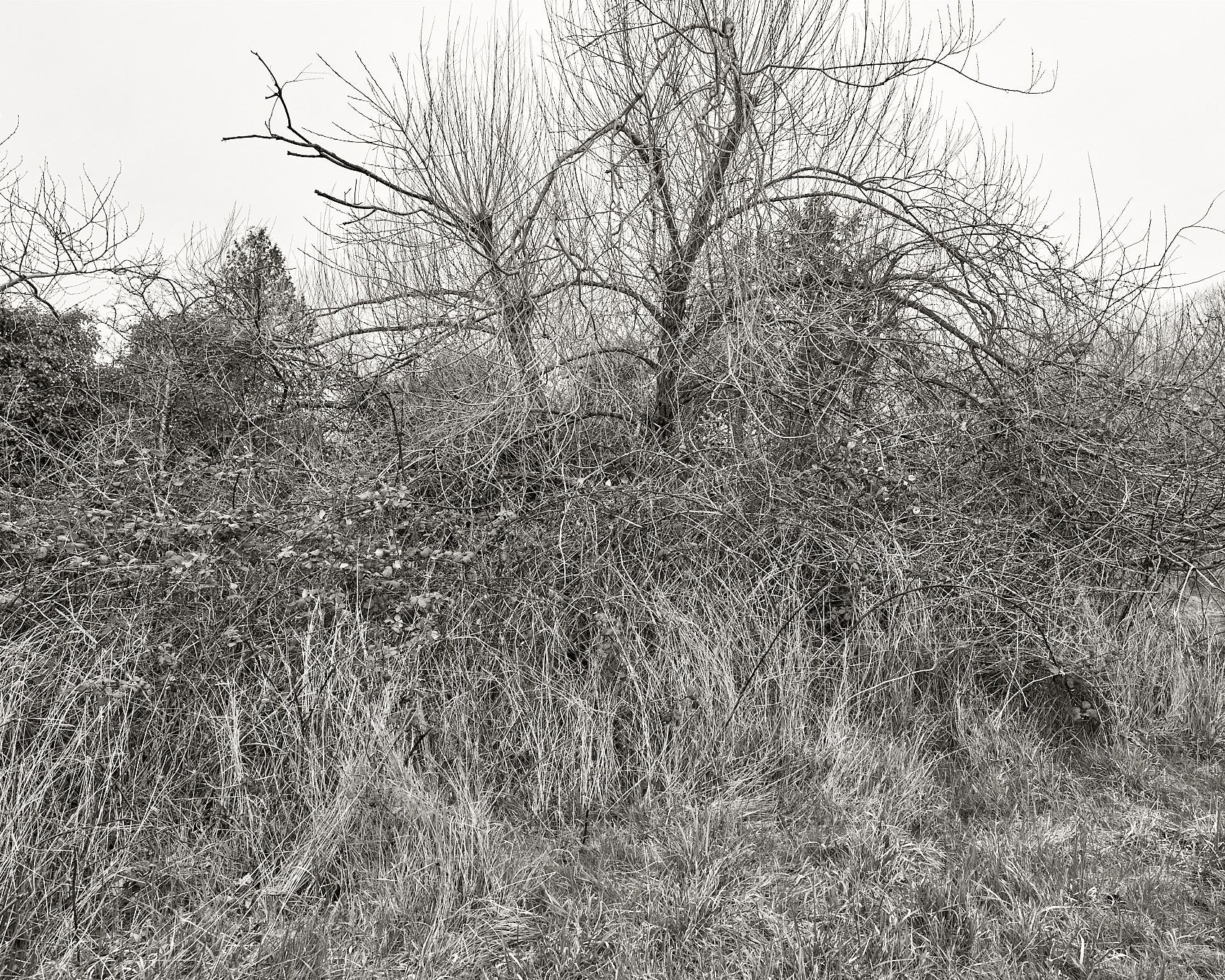 Drouin – Along Aside 3