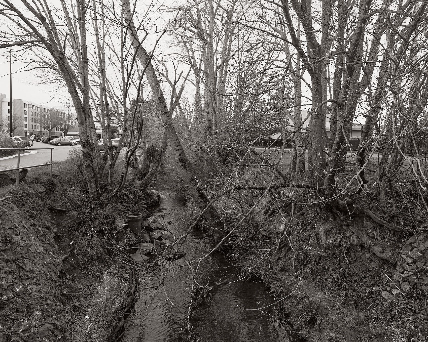 _DSC4655 web