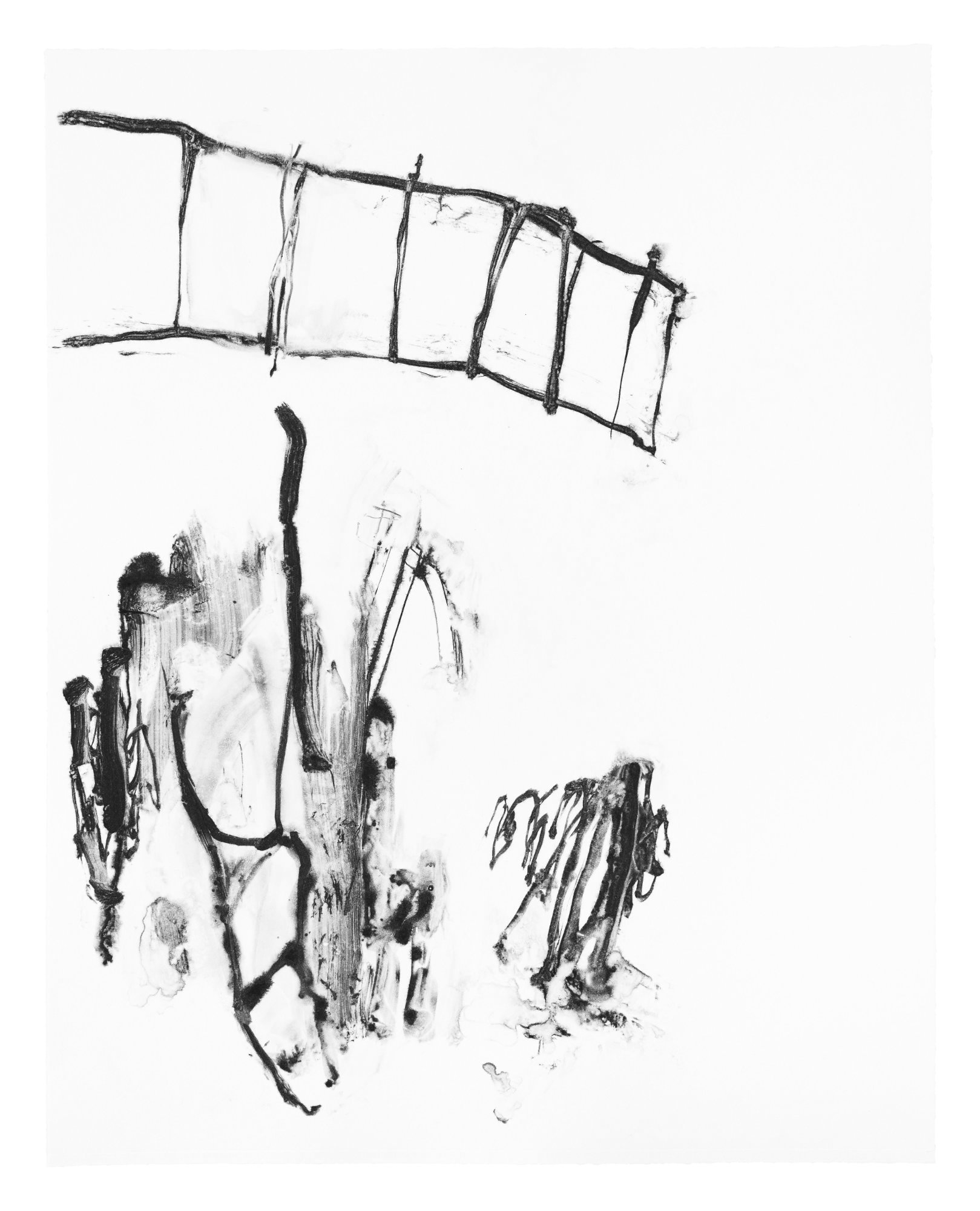 Recent Monotypes