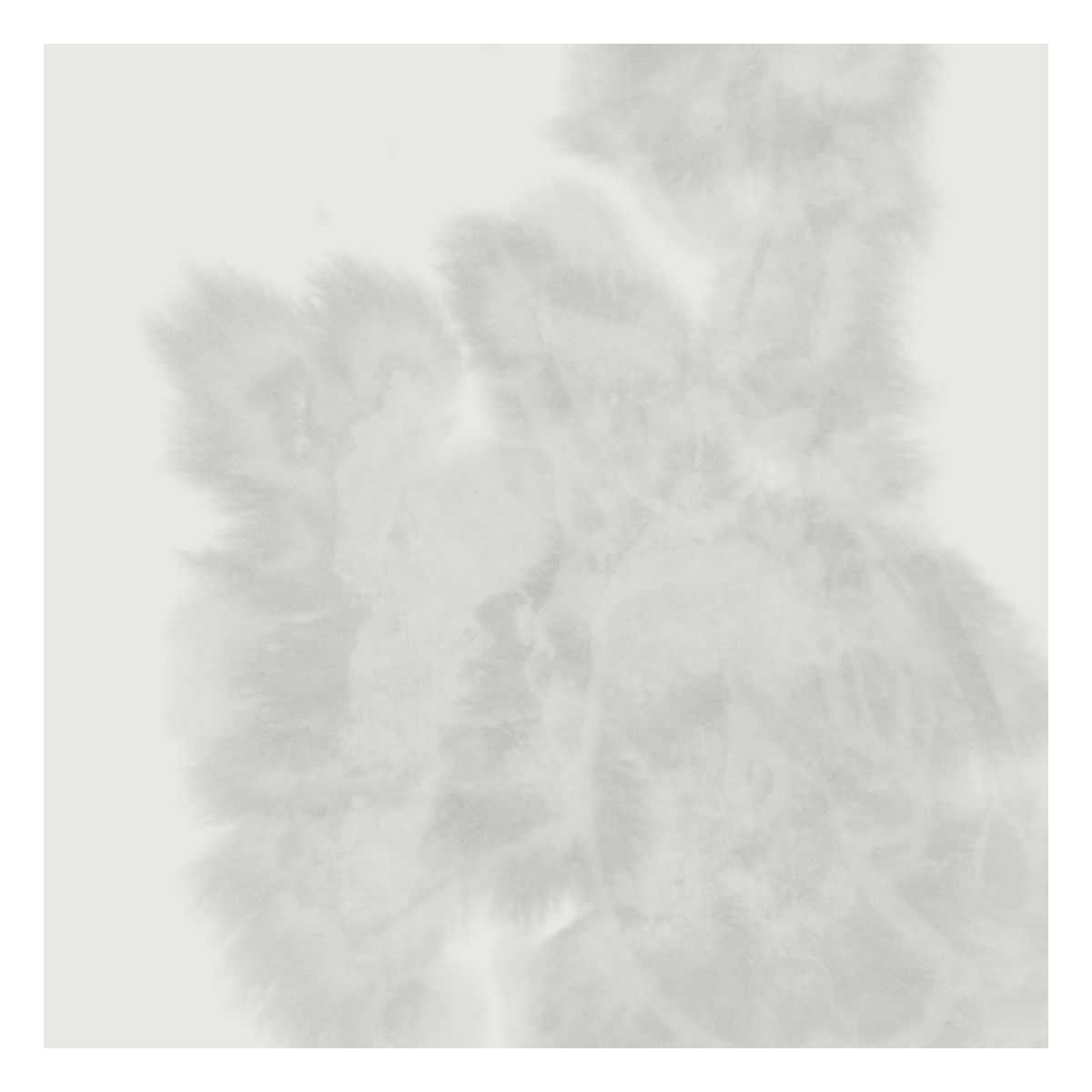 jamie drouin – holocene extinction Album cover for sometimes we all disappear by Jamie Drouin and Lance Austin Olsen