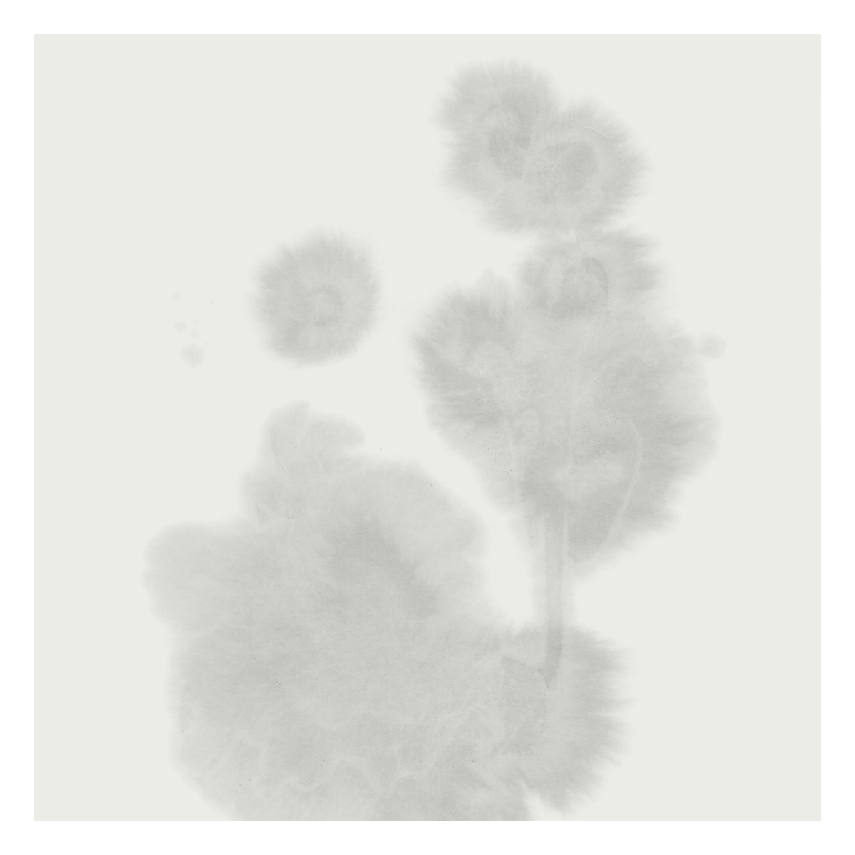 jamie drouin – touch Album cover for sometimes we all disappear by Jamie Drouin and Lance Austin Olsen