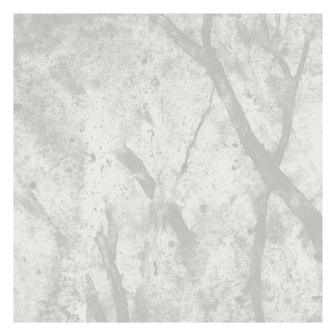 Album cover for sometimes we all disappear by Jamie Drouin and Lance Austin Olsen