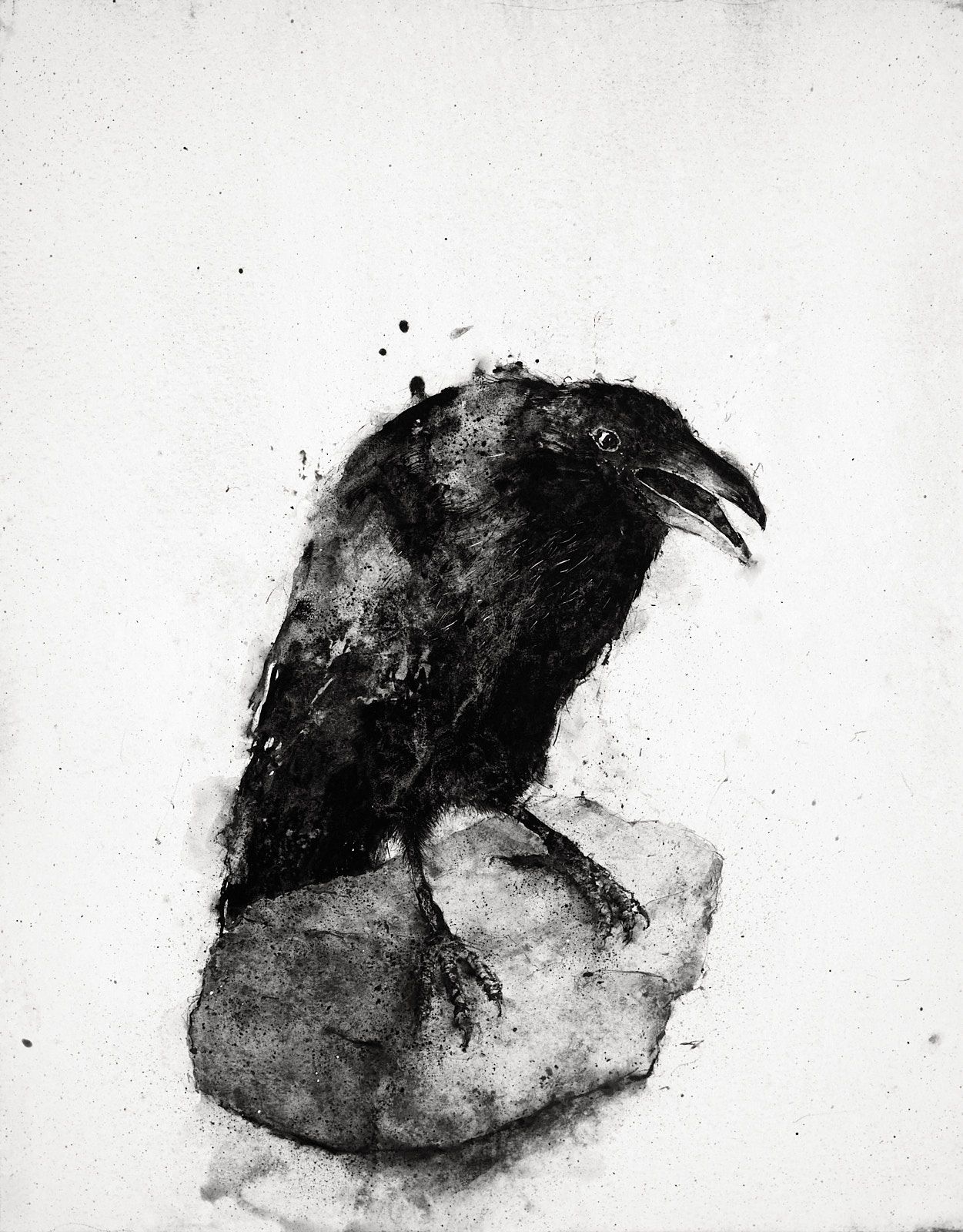watercolour and graphite painting of raven